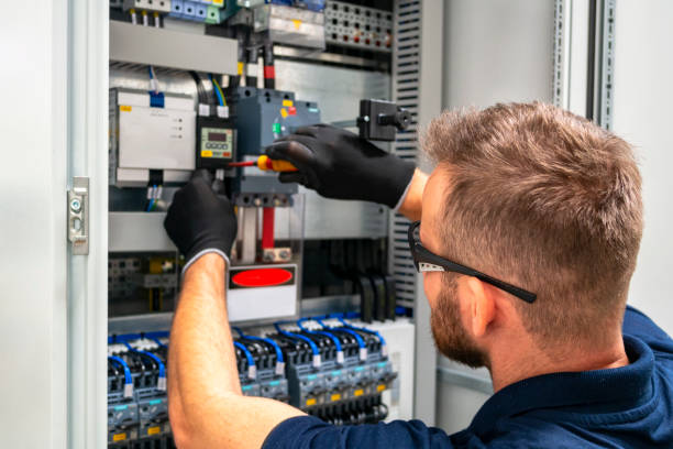 Best Ceiling Fan Installation Electrician  in Allegan, MI