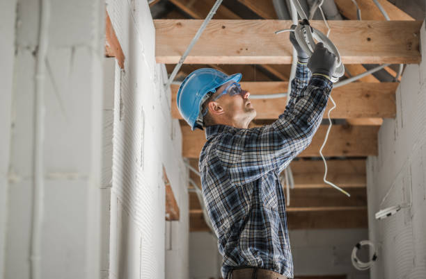 Best 24-Hour Electrician  in Allegan, MI