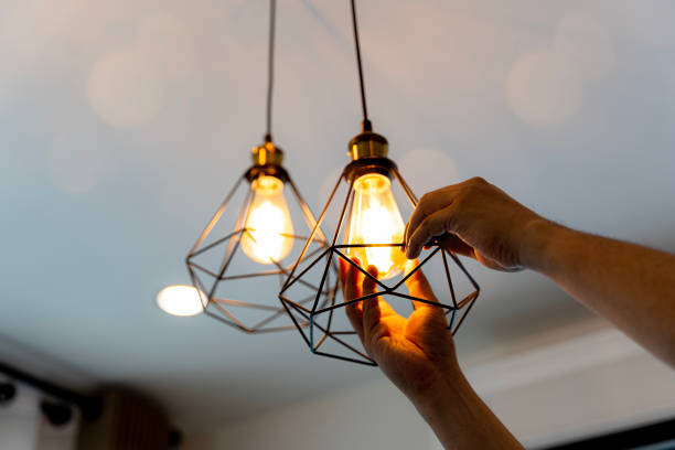 Best Licensed Electrician  in Allegan, MI