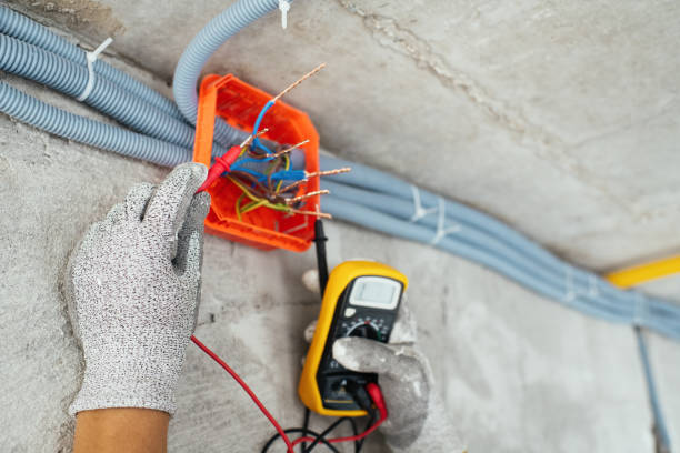 Best Electrical Upgrades for Homes  in Allegan, MI